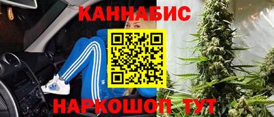 мяу мяу мука Моздок